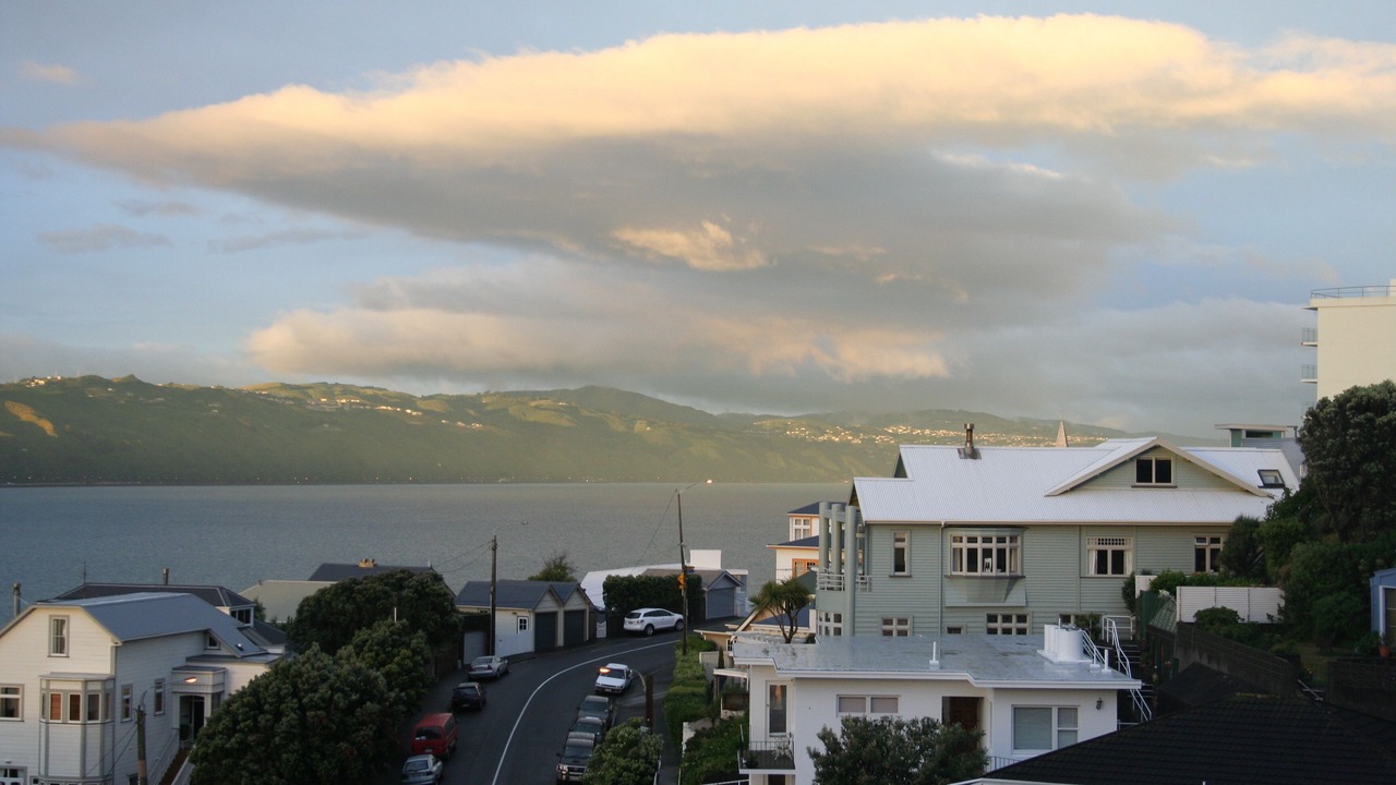 Photo of Others in Wellington