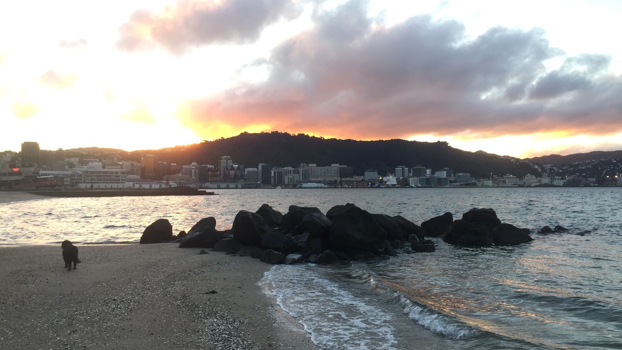 Photo of Others in Wellington