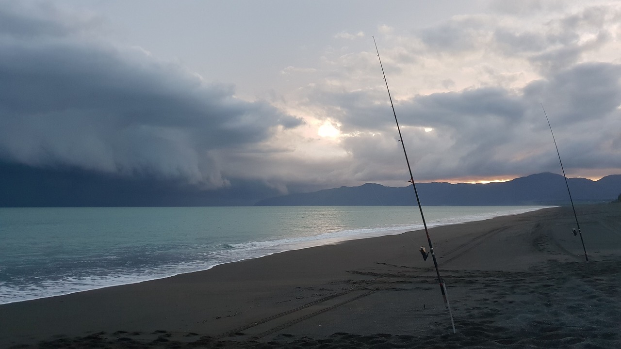 Photo of Others in Whangaimoana