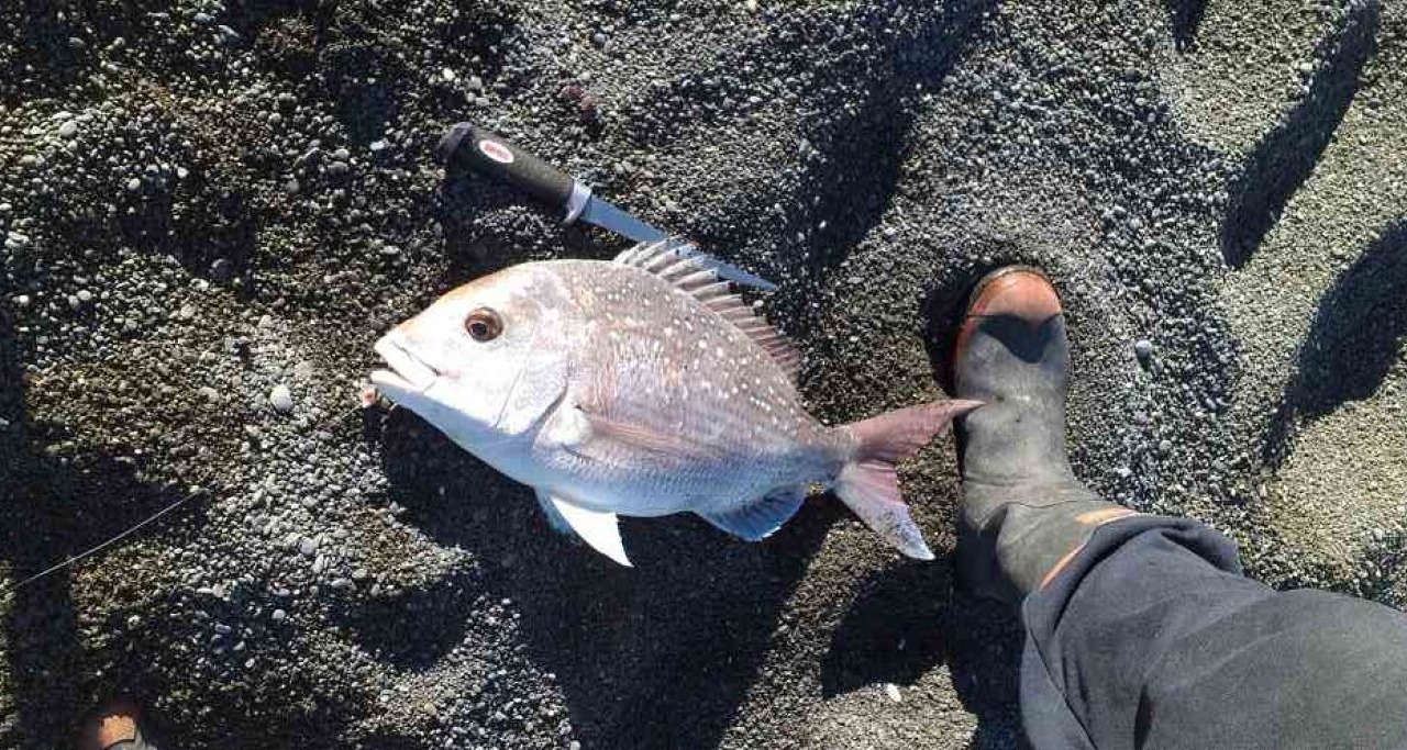 Photo of Others in Whangaimoana