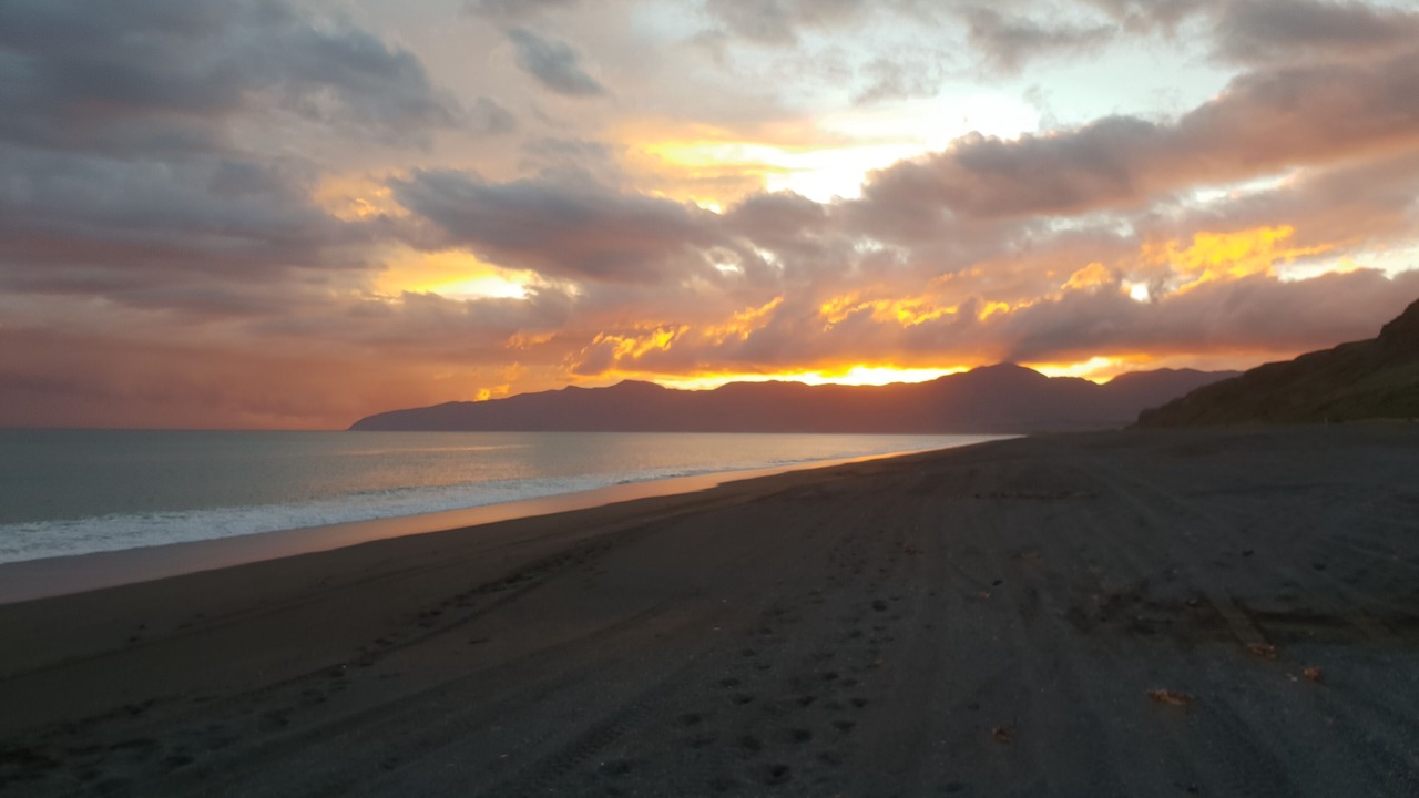 Photo of Others in Whangaimoana