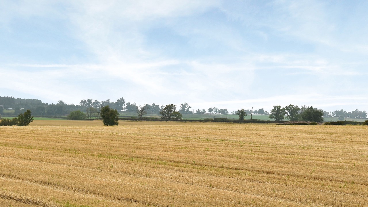 Photo of Others in Nenthorn