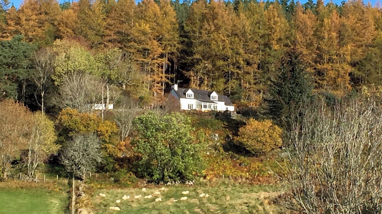 Photo of Outdoor in Lairg