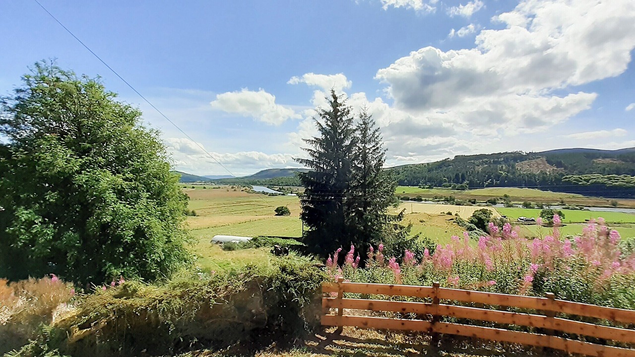 Photo of Others in Lairg