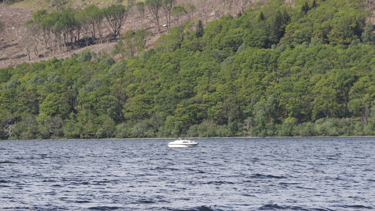 Photo of Others in Lochearnhead