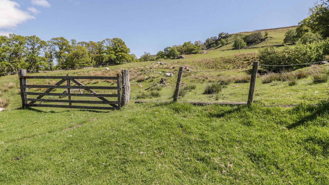 Photo of Outdoor in Lochearnhead