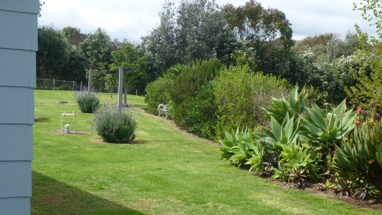 Photo of Outdoor in Tirohanga