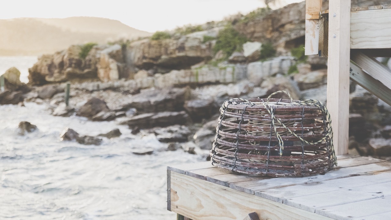 Photo of Outdoor in Coles Bay