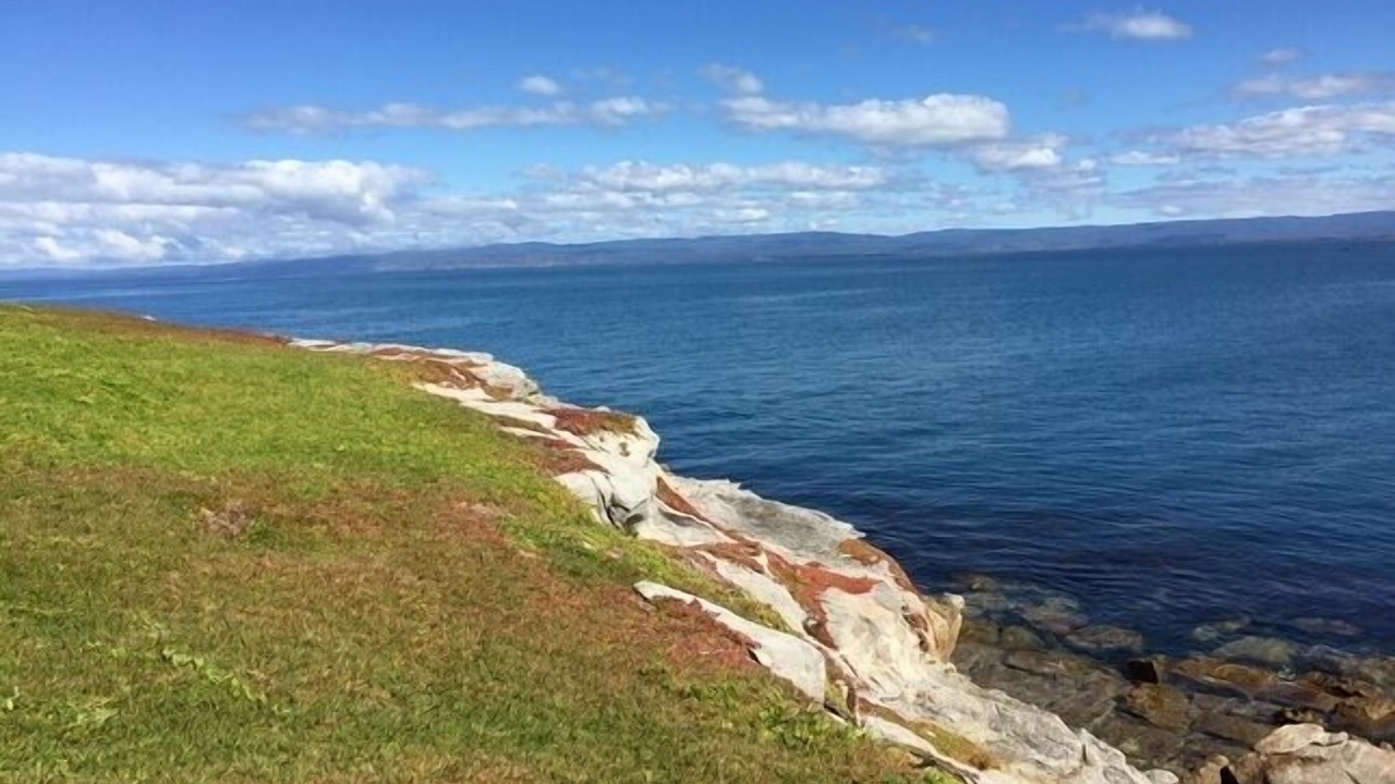 Photo of Others in Coles Bay