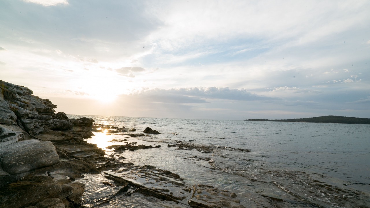 Photo of Others in Coles Bay