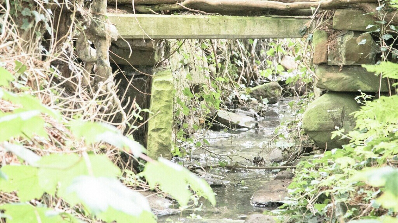 Photo of Outdoor in Mauchline