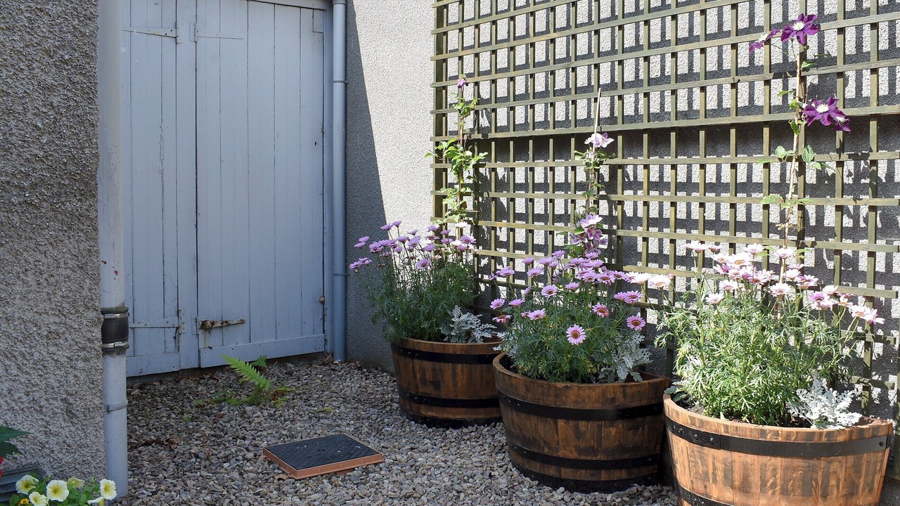 Photo of Outdoor in Aberlour