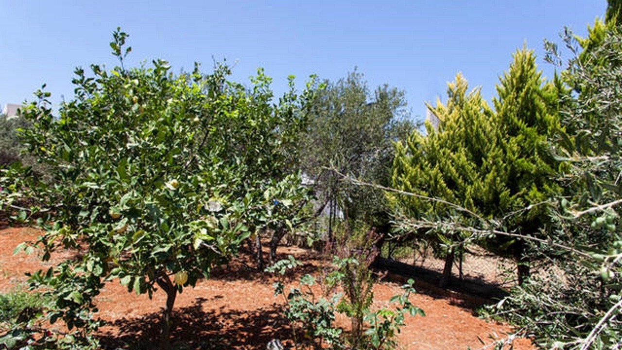 Photo of Outdoor in Sissi