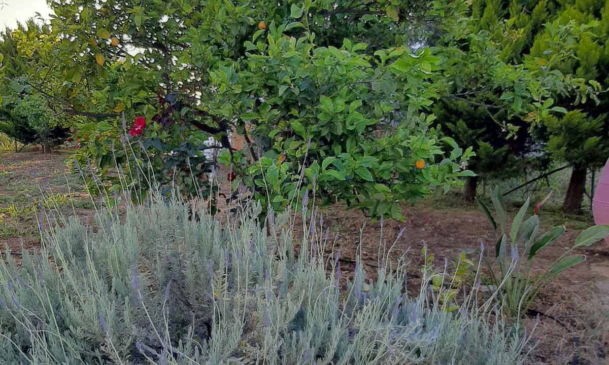 Photo of Outdoor in Sissi