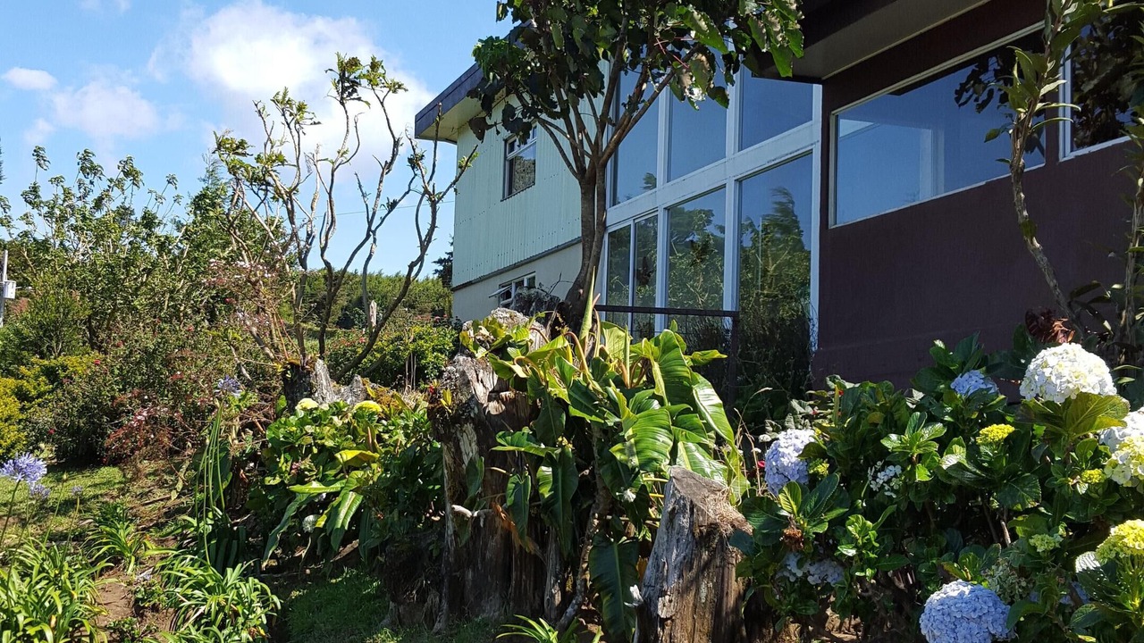Photo of Outdoor in San Isidro