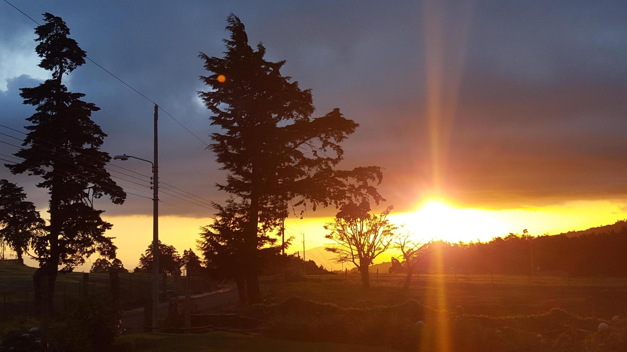 Photo of Outdoor in San Isidro