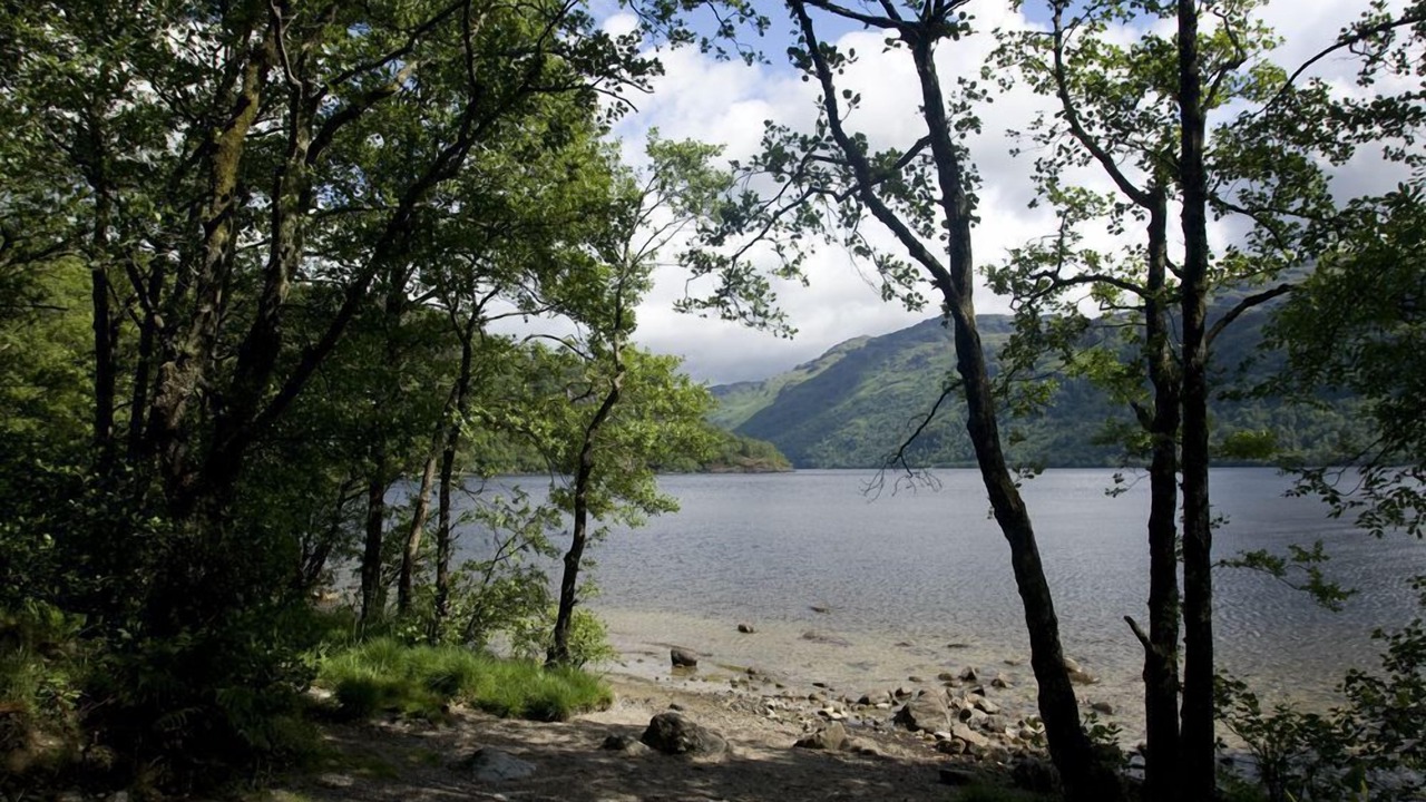 Photo of Others in Strathcarron
