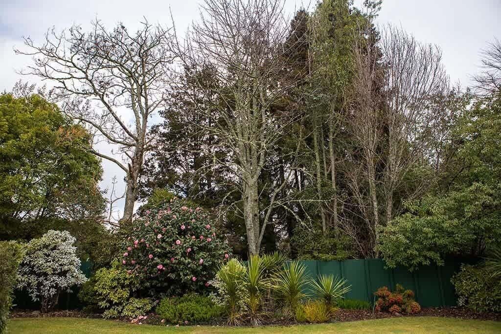 Photo of Outdoor in Lynmore