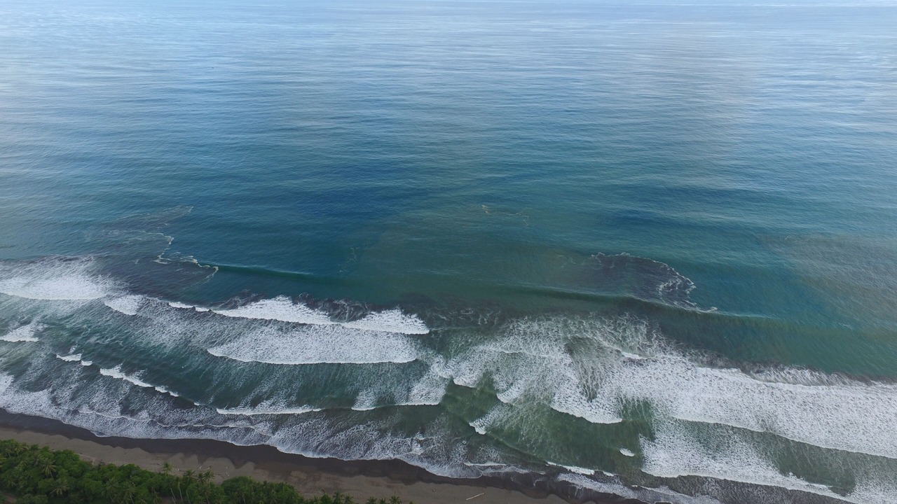 Photo of Others in Dominical