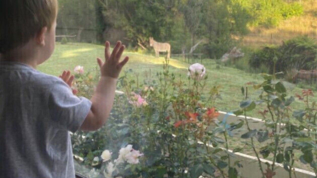Photo of Others in Geeveston