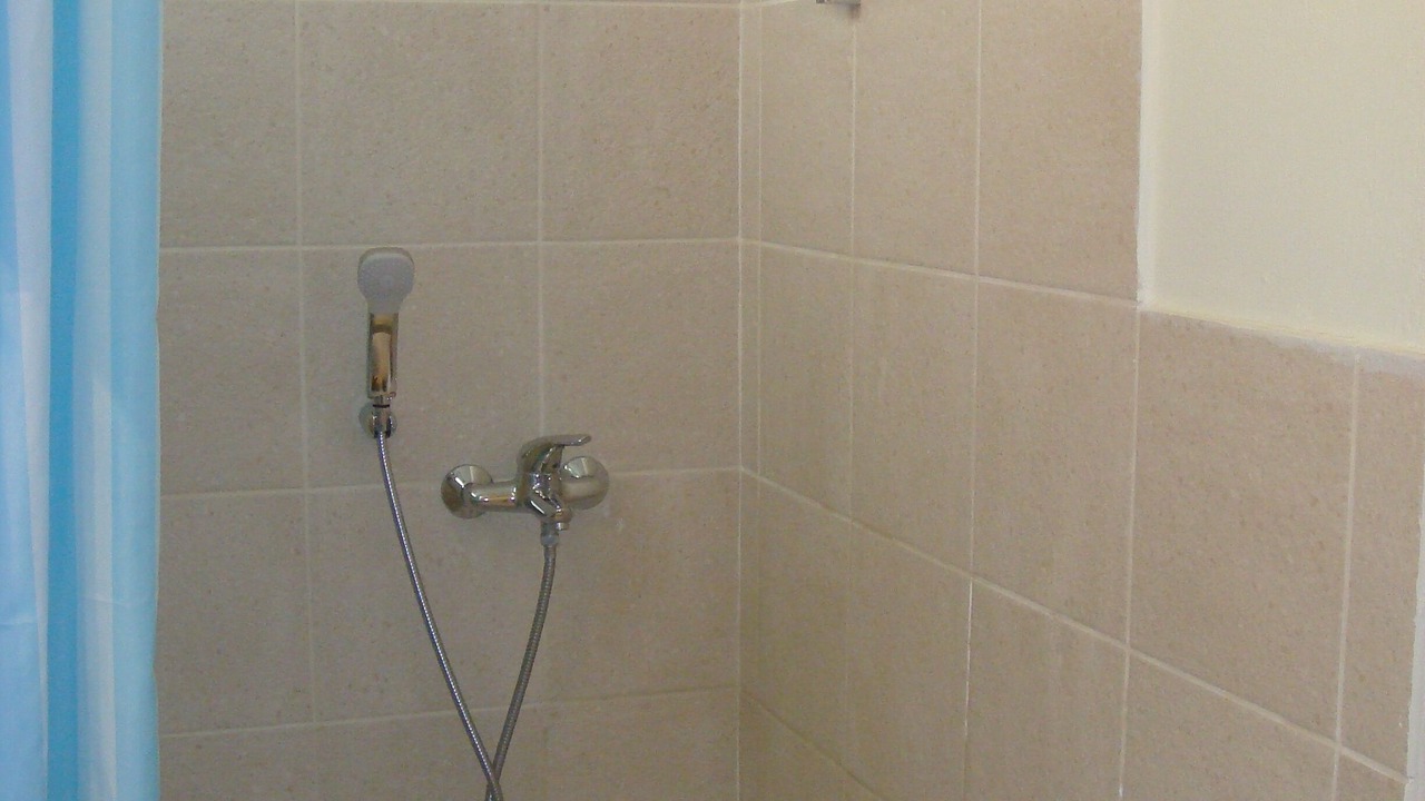 Photo of Bathroom in Steniai