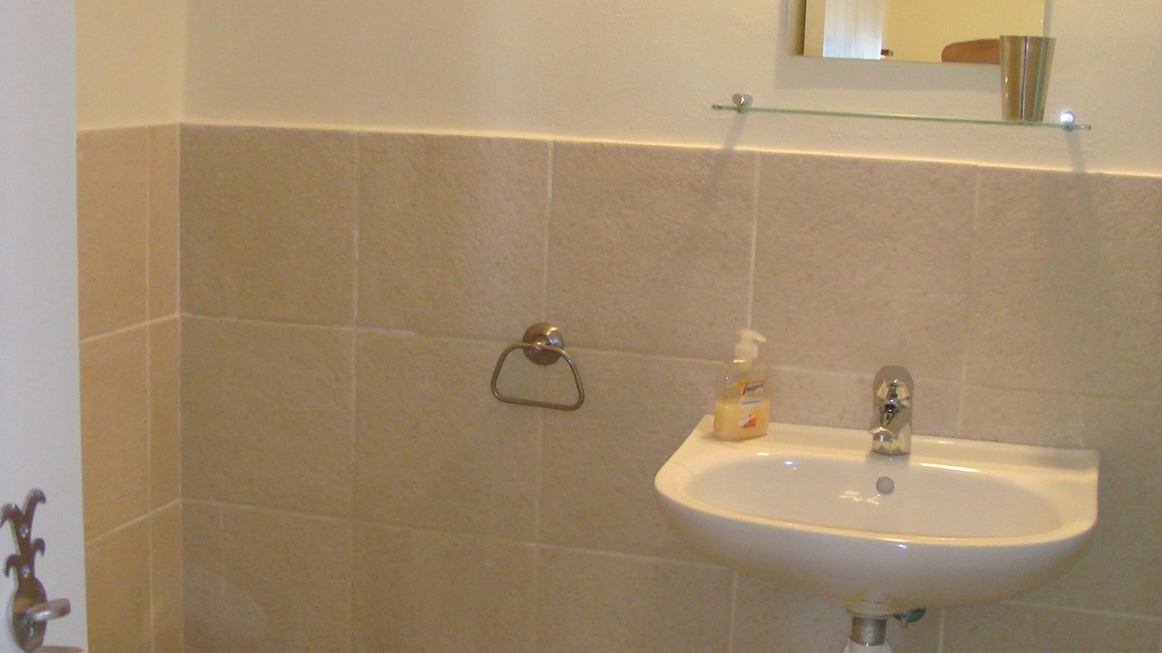 Photo of Bathroom in Steniai