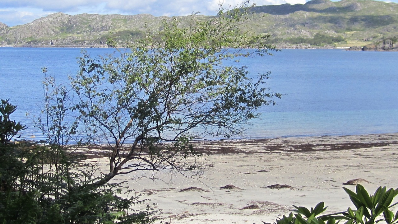 Photo of Others in Lochailort