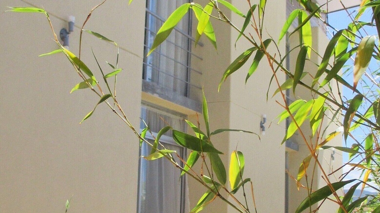 Photo of Outdoor in San Jose