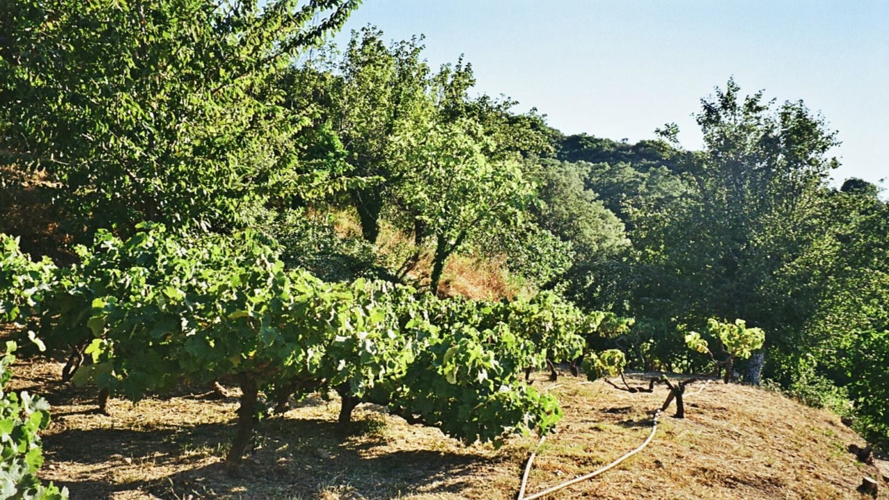 Photo of Outdoor in Milia