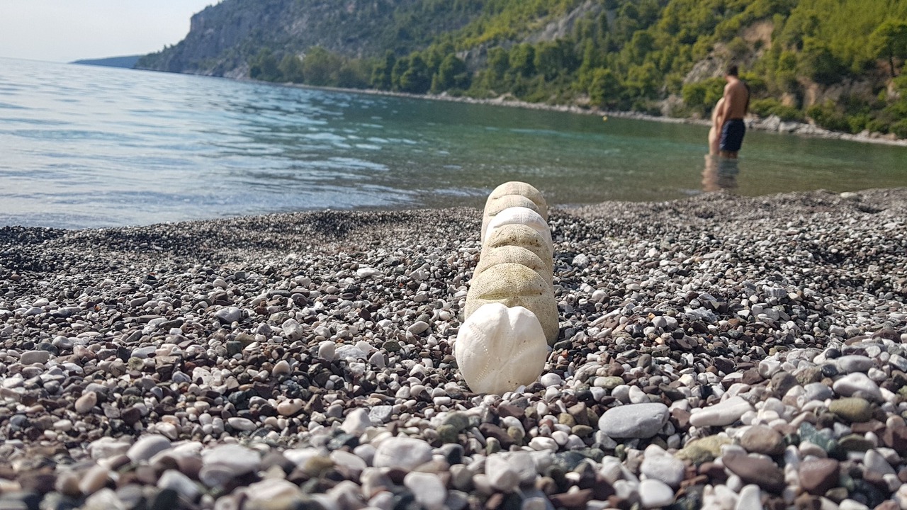 Photo of Others in Paradise Beach