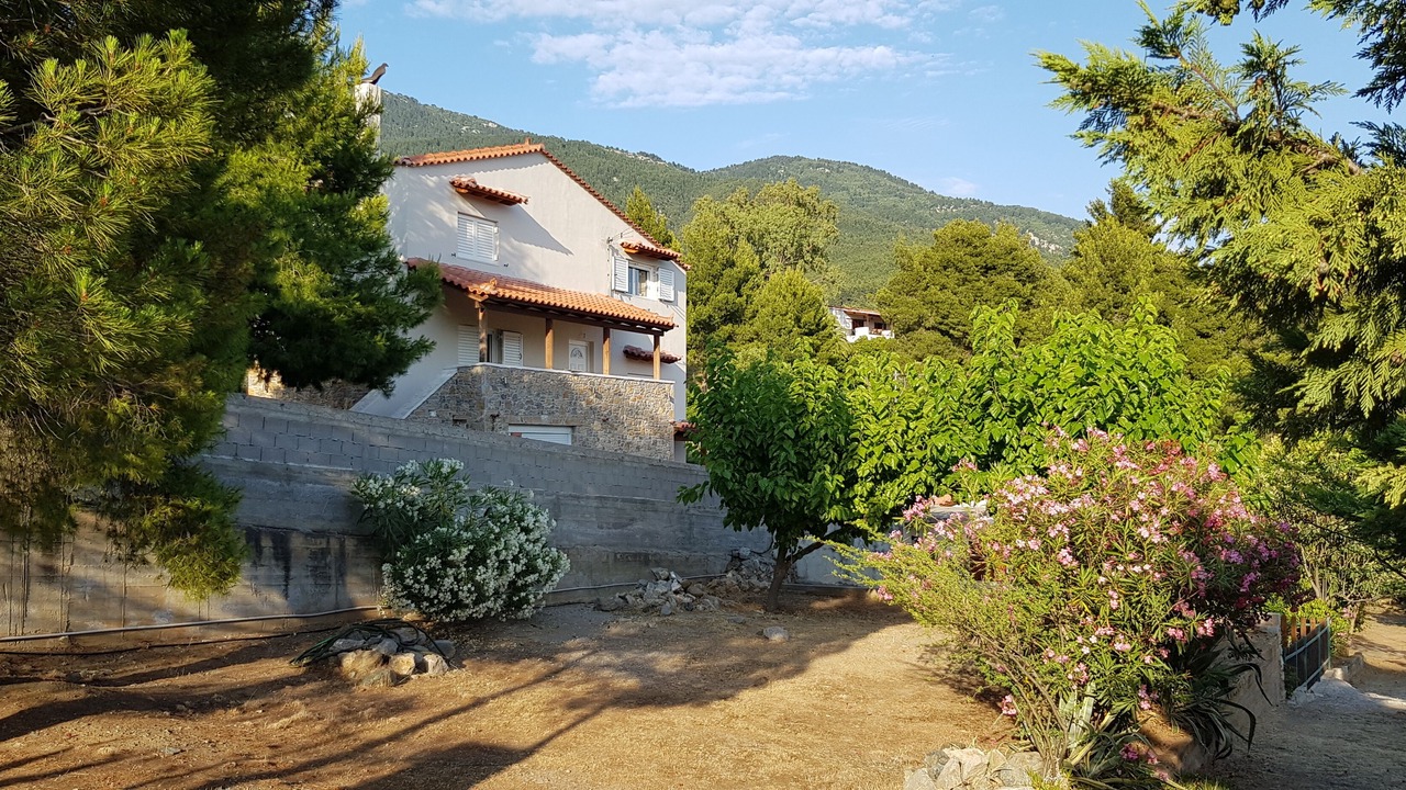 Photo of Outdoor in Paradise Beach