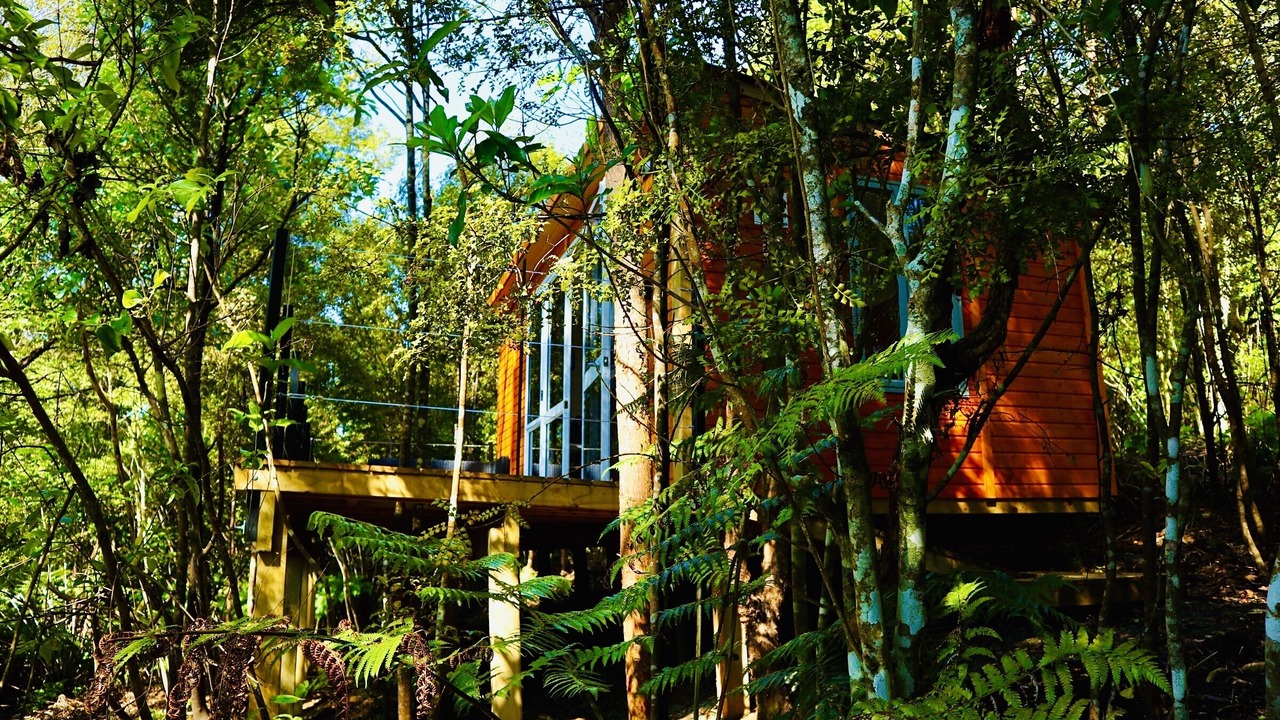 Photo of Outdoor in Wainui