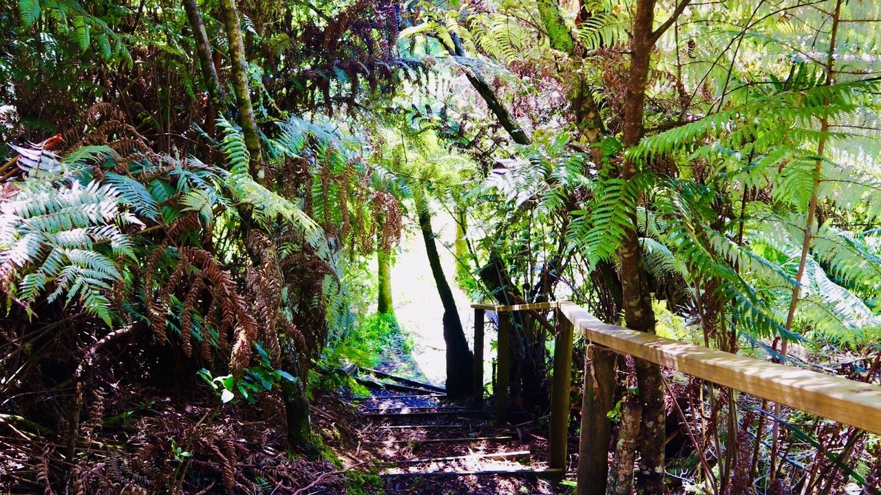Photo of Outdoor in Wainui