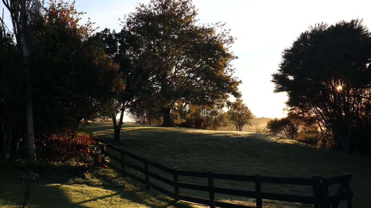 Photo of Outdoor in Wainui