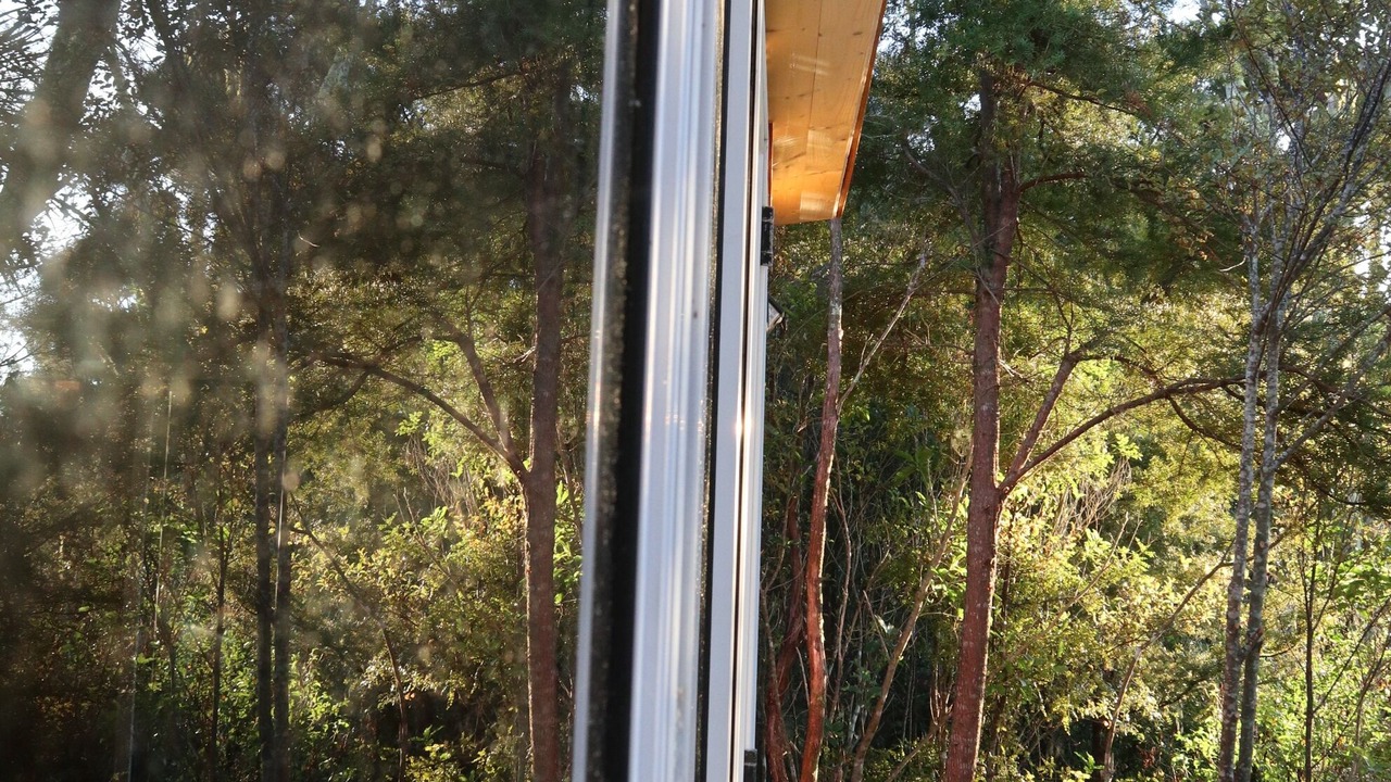 Photo of Outdoor in Wainui