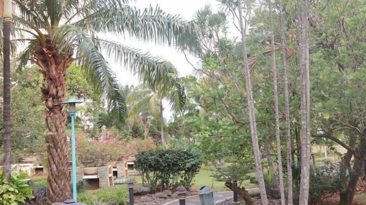 Photo of Outdoor in Bangka