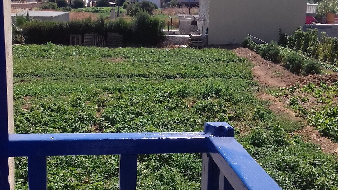 Photo of Outdoor in Agia Pelagia