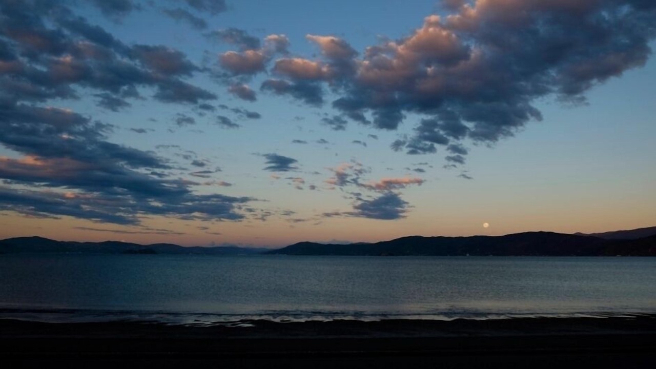 Photo of Others in Seatoun