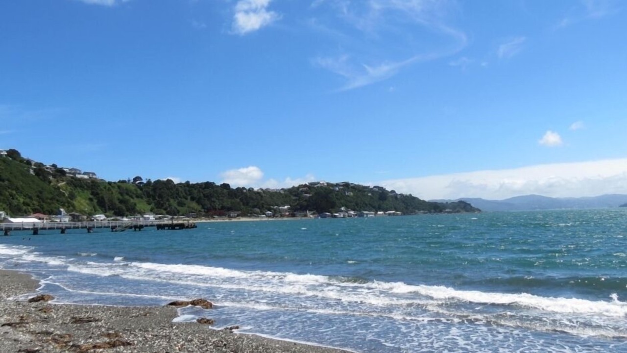 Photo of Others in Seatoun