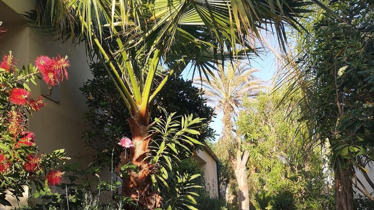 Photo of Outdoor in Marina di Modica