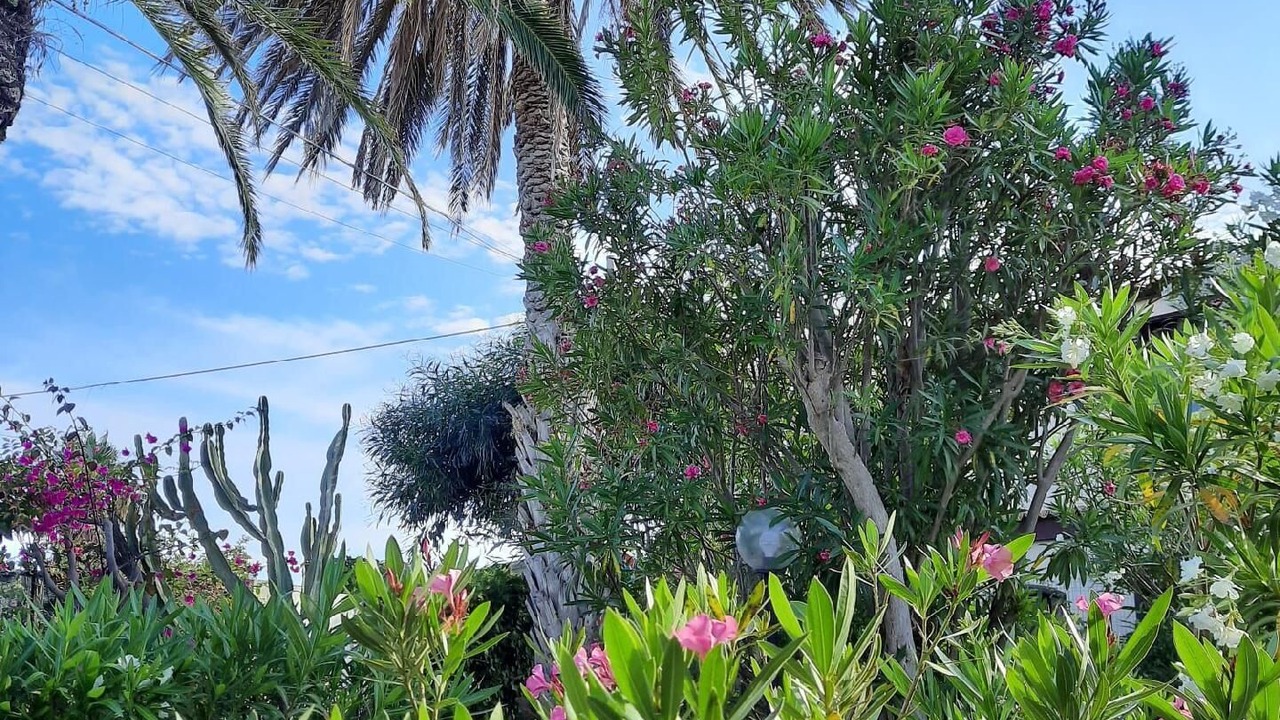 Photo of Outdoor in Marina di Modica