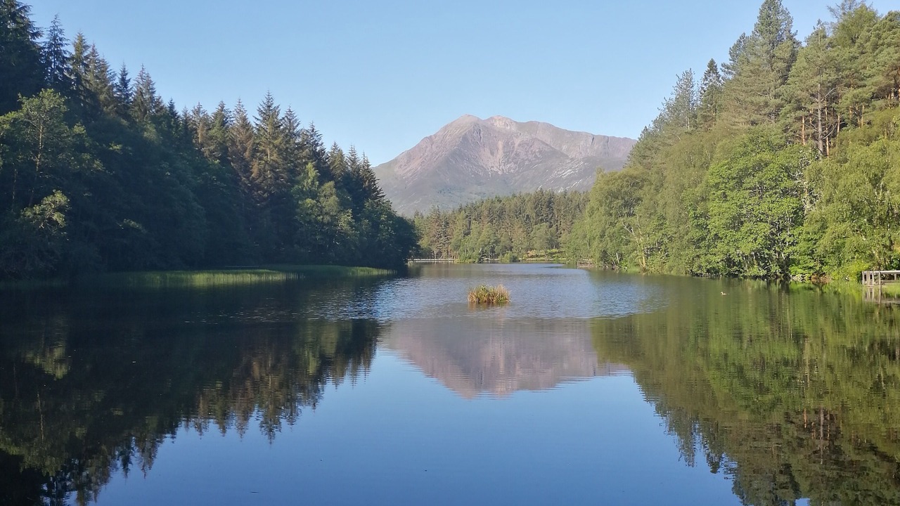 Photo of Others in Glencoe