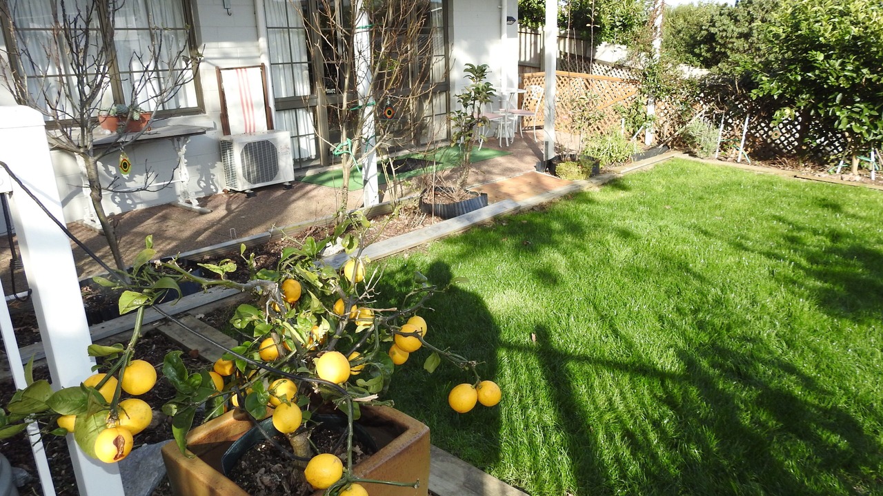 Photo of Outdoor in Saint Johns