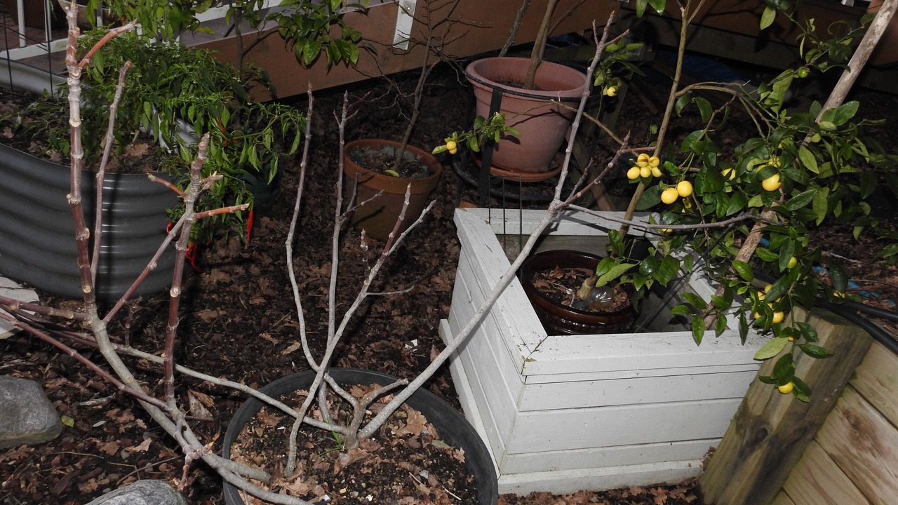 Photo of Outdoor in Saint Johns