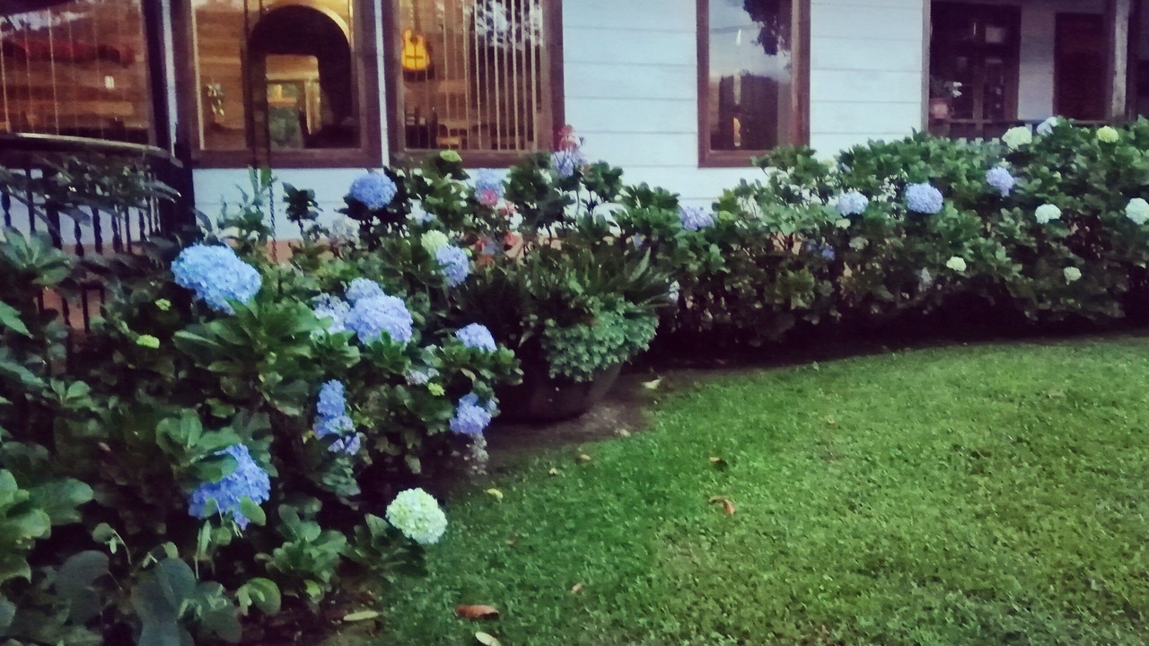 Photo of Outdoor in Pacuare Reserve