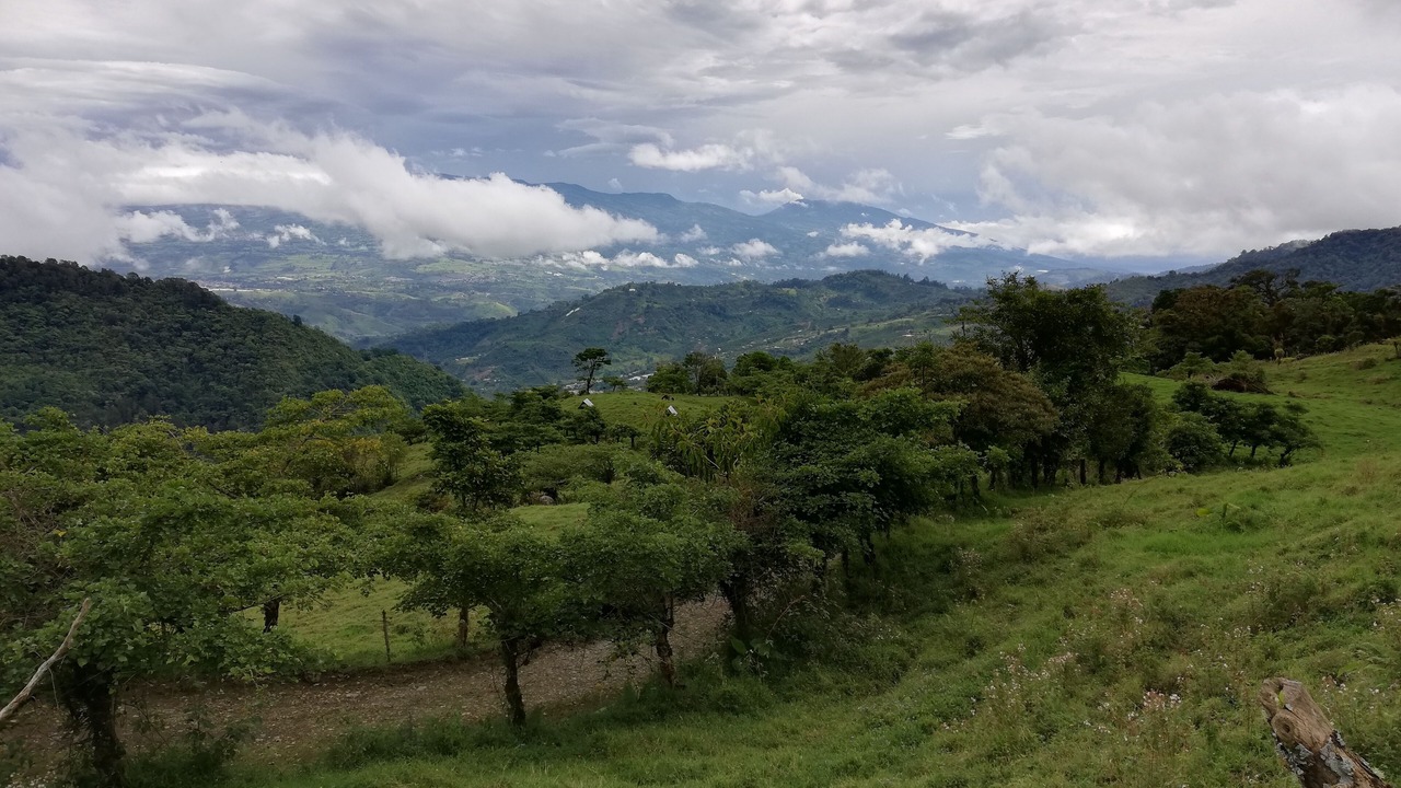 Photo of Outdoor in Pacuare Reserve
