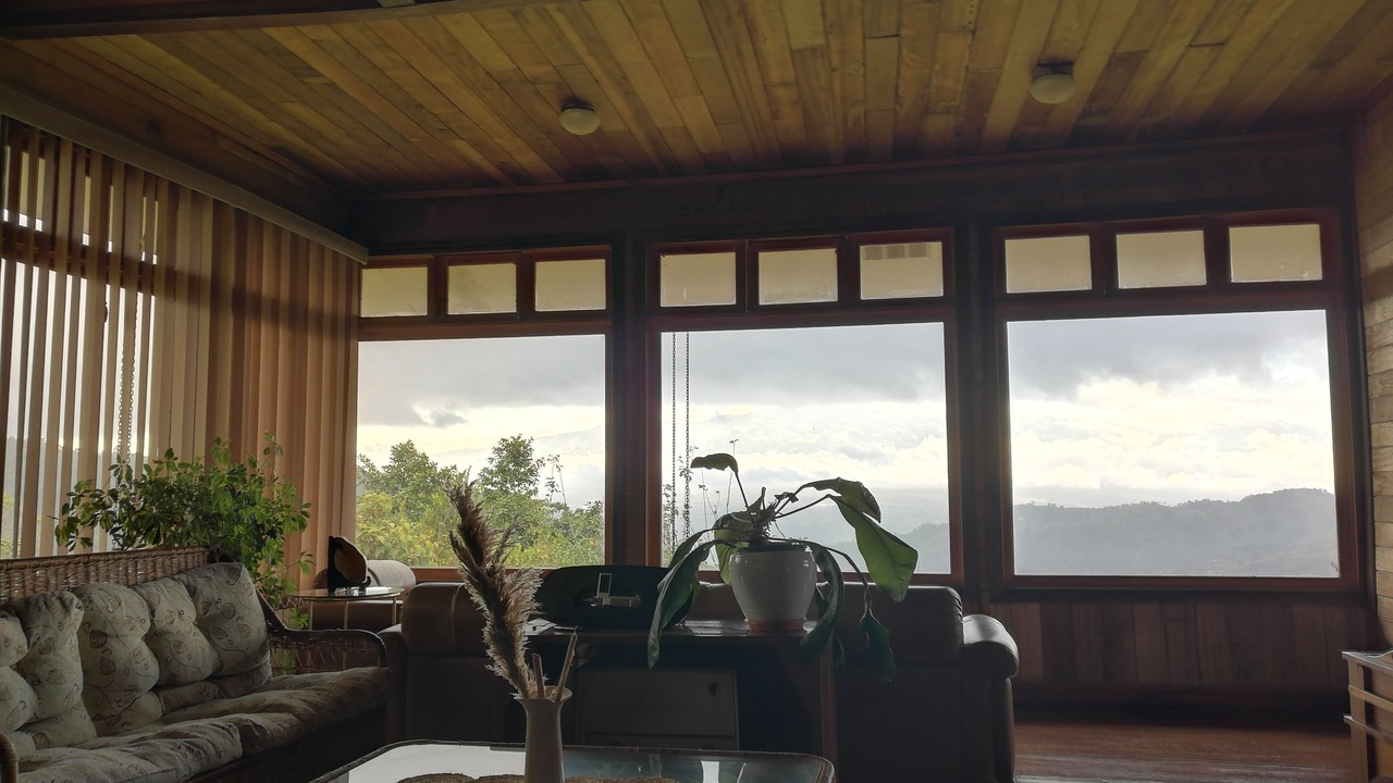 Photo of Others in Pacuare Reserve