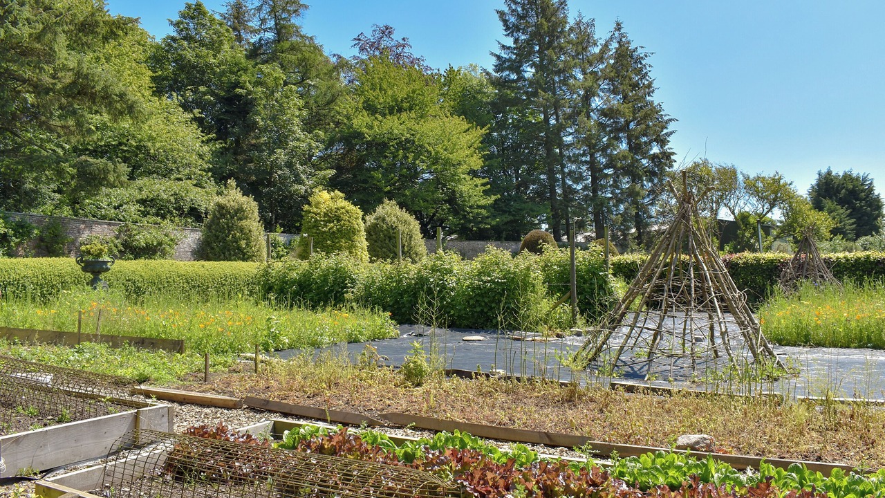 Photo of Outdoor in Forfar