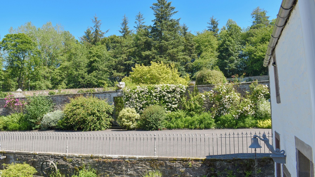 Photo of Outdoor in Forfar