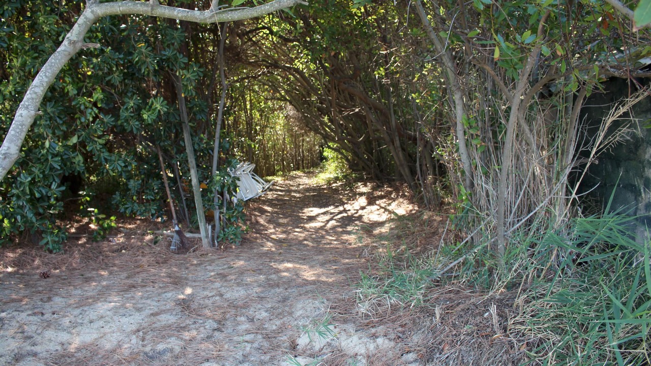 Photo of Others in Sithonia